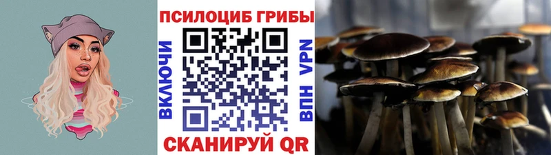 Псилоцибиновые грибы ЛСД  магазин продажи   Муром 