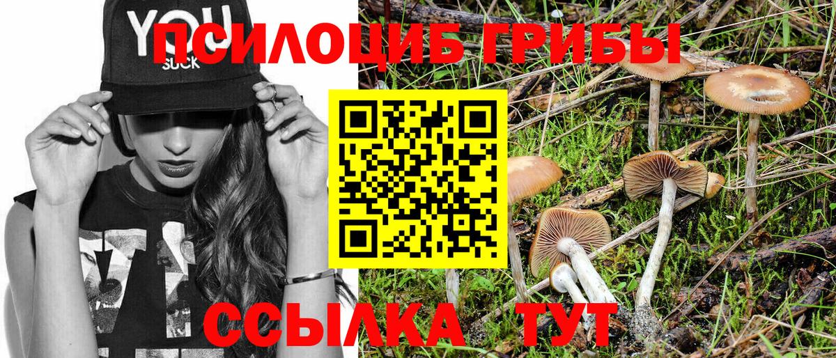 Муром  Псилоцибиновые грибы Magic Shrooms  Вход с VPN 
