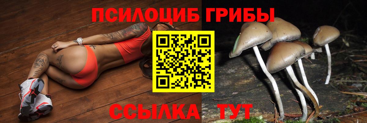 Псилоцибиновые грибы Psilocybine cubensis  Вход с VPN  Муром  Галлюциногенные грибы MAGIC MUSHROOMS 