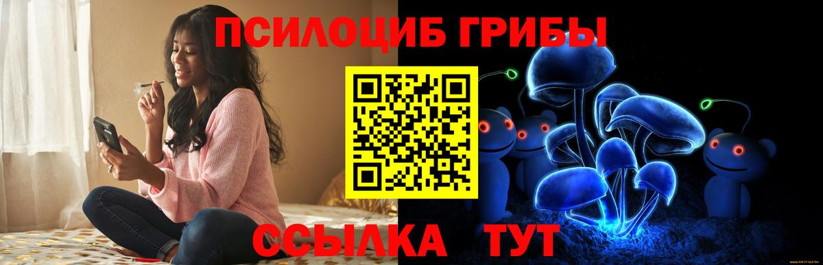 Псилоцибиновые грибы прущие грибы Муром