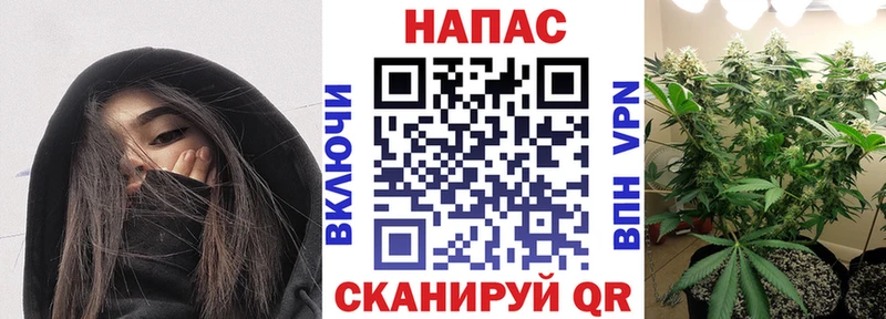Каннабис план  Муром 